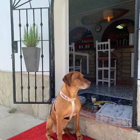 Hotel El Chili Boutique Barbate
